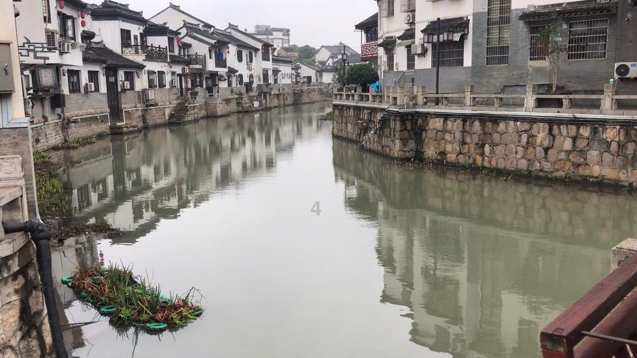 虎胆熊威3